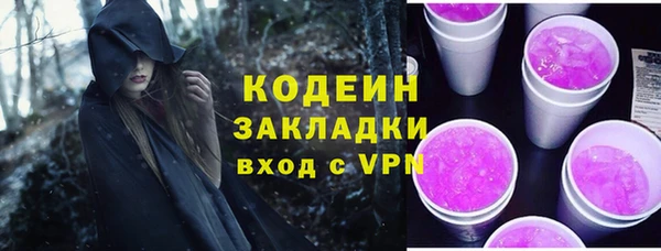 молекула духа Пересвет