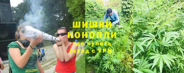 молекула духа Пересвет