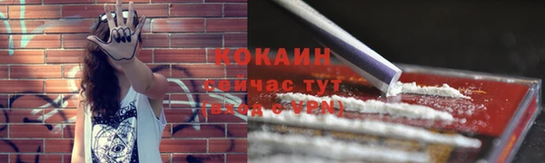 ешки Пестово