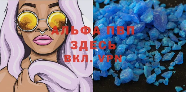 молекула духа Пересвет