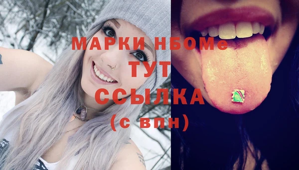 молекула духа Пересвет