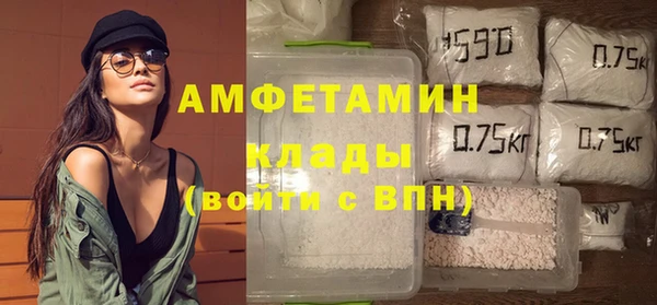 молекула духа Пересвет
