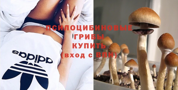 мдпв Переславль-Залесский