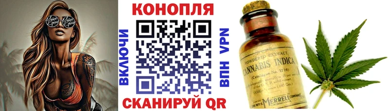 MEGA ссылка  Нестеровская  Каннабис VHQ 